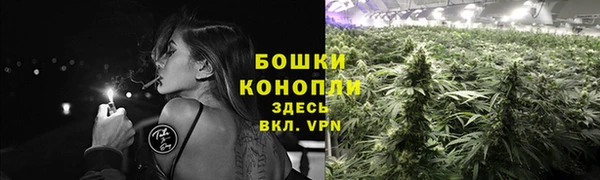 герыч Осинники