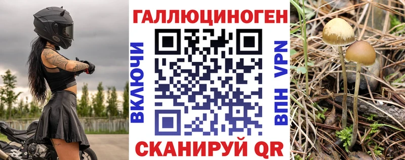 Галлюциногенные грибы Psilocybine cubensis Сельцо
